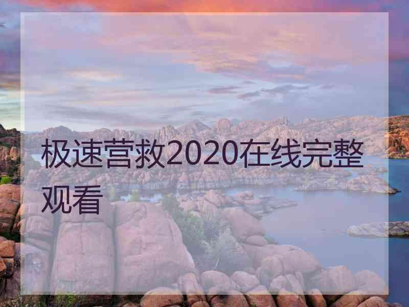 极速营救2020在线完整观看