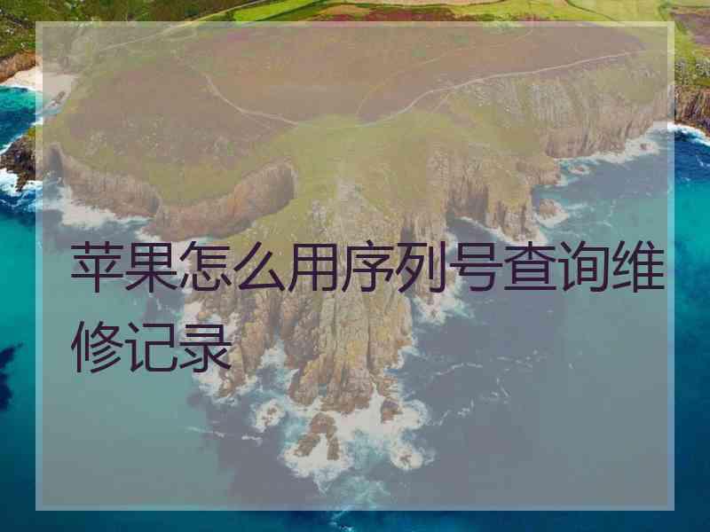 苹果怎么用序列号查询维修记录