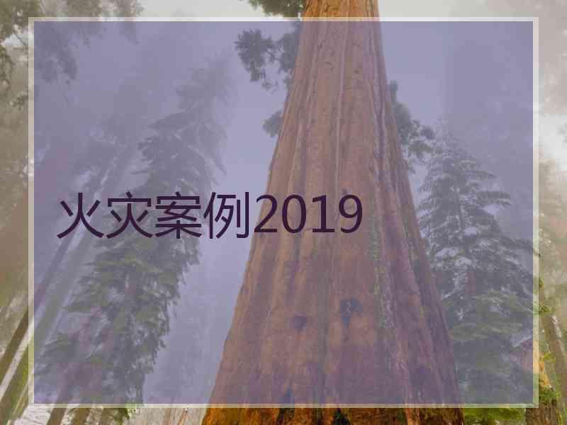 火灾案例2019