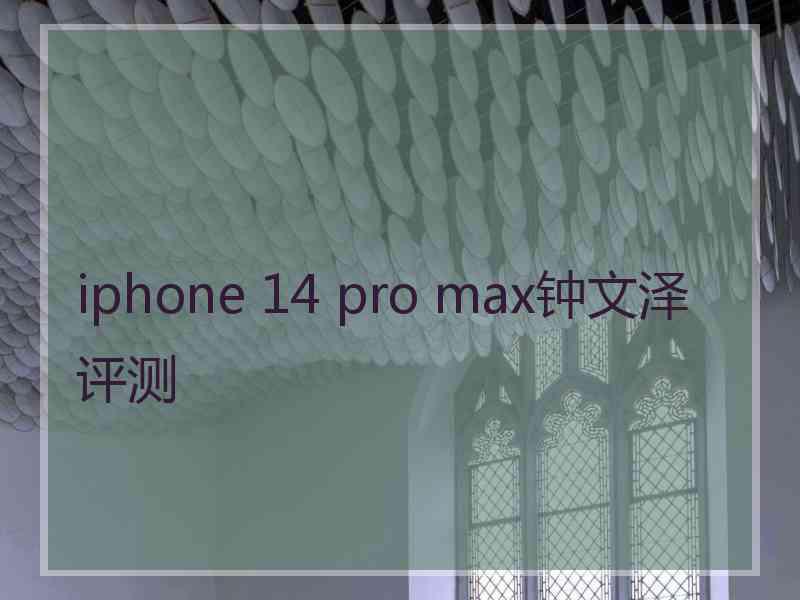 iphone 14 pro max钟文泽评测