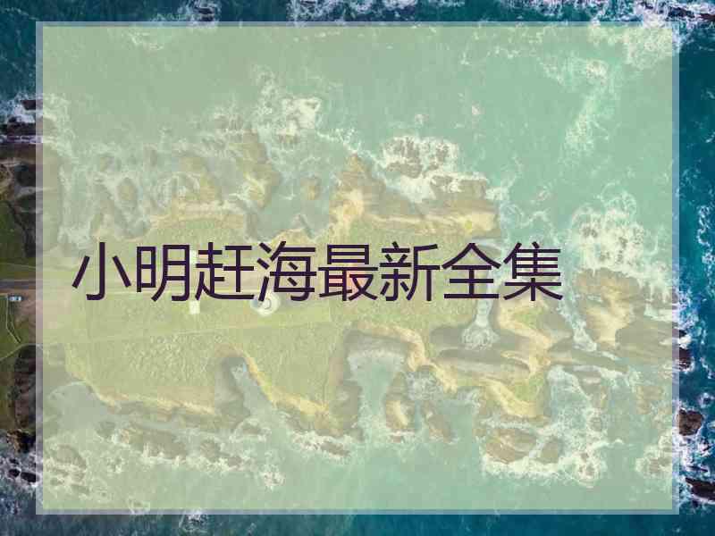 小明赶海最新全集