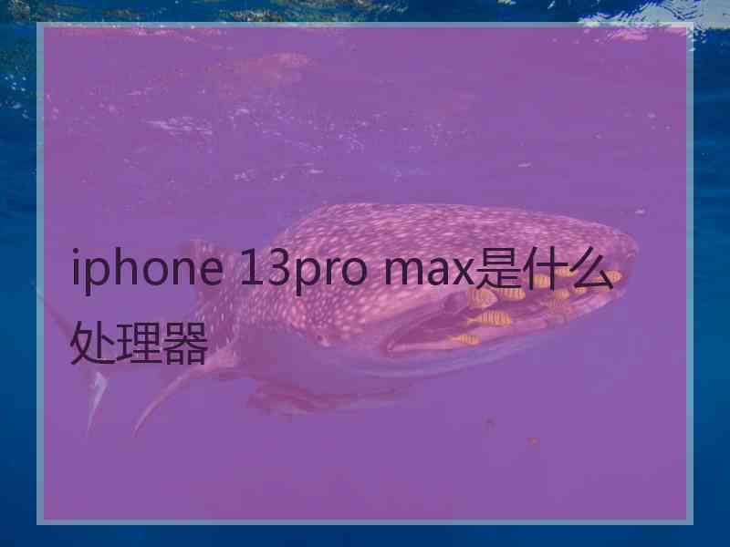 iphone 13pro max是什么处理器