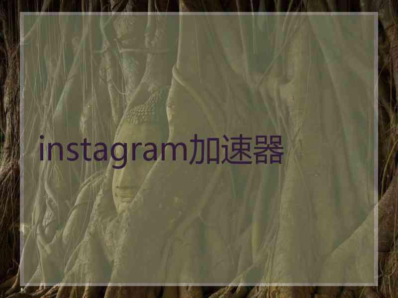 instagram加速器