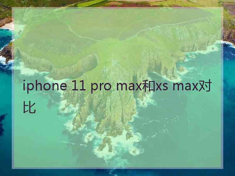 iphone 11 pro max和xs max对比