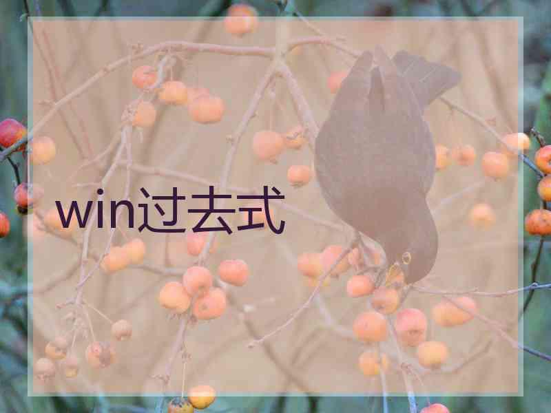 win过去式