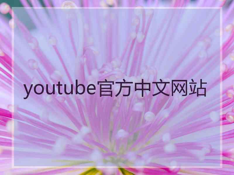 youtube官方中文网站