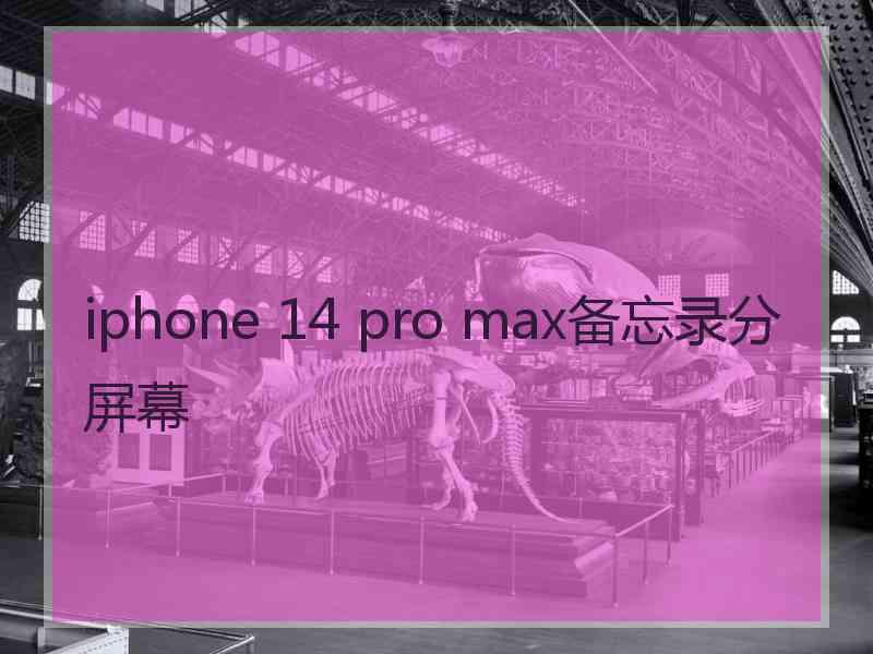 iphone 14 pro max备忘录分屏幕