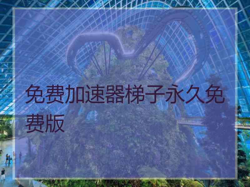 免费加速器梯子永久免费版