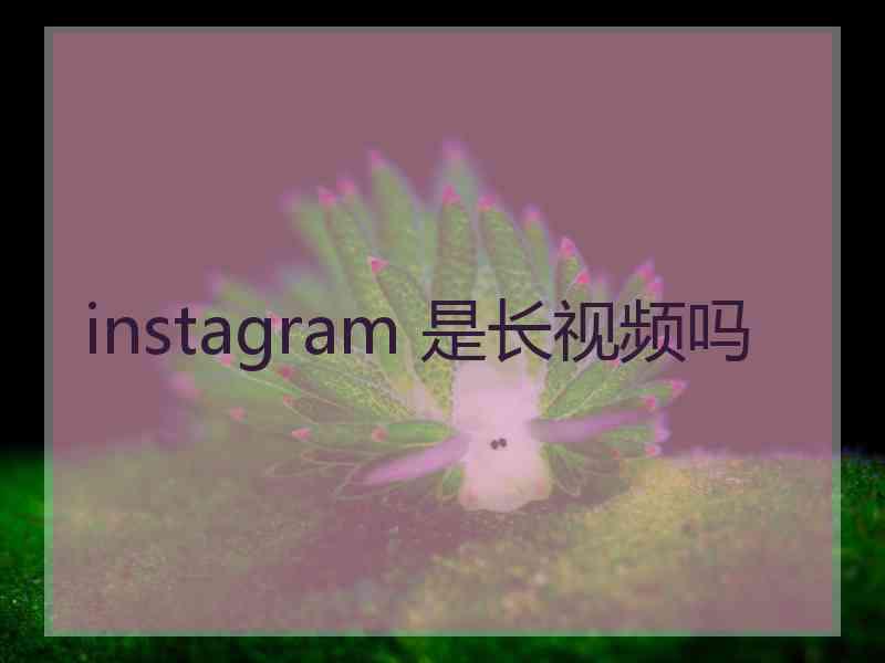 instagram 是长视频吗