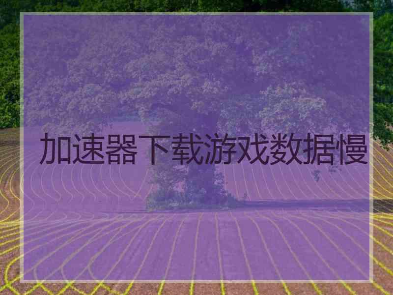 加速器下载游戏数据慢