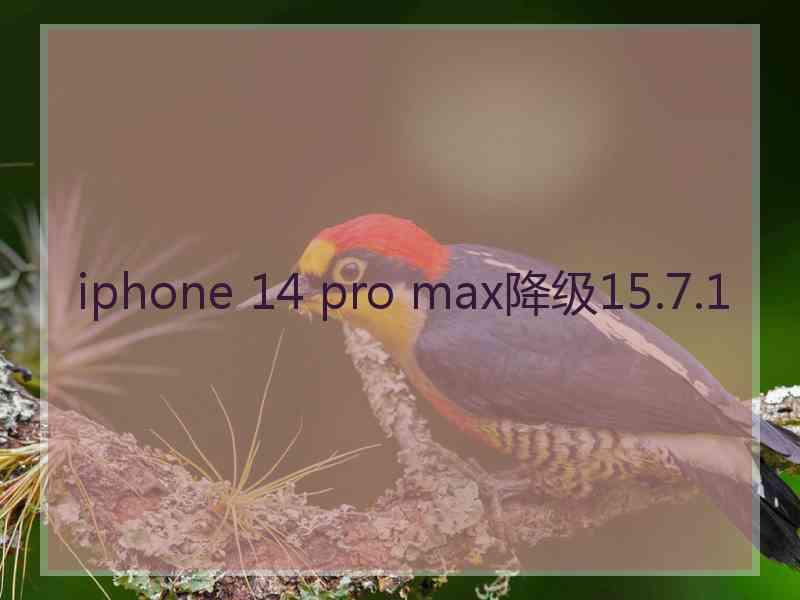 iphone 14 pro max降级15.7.1