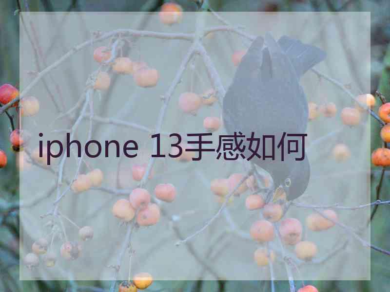 iphone 13手感如何