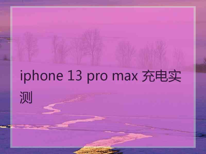 iphone 13 pro max 充电实测