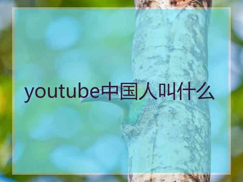 youtube中国人叫什么