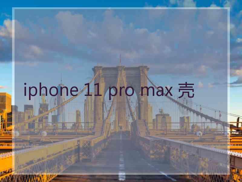 iphone 11 pro max 壳