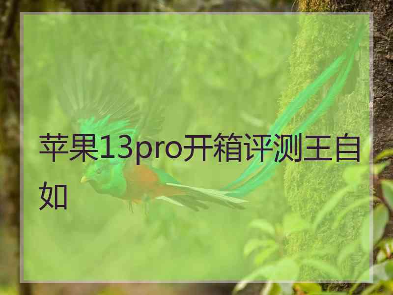 苹果13pro开箱评测王自如