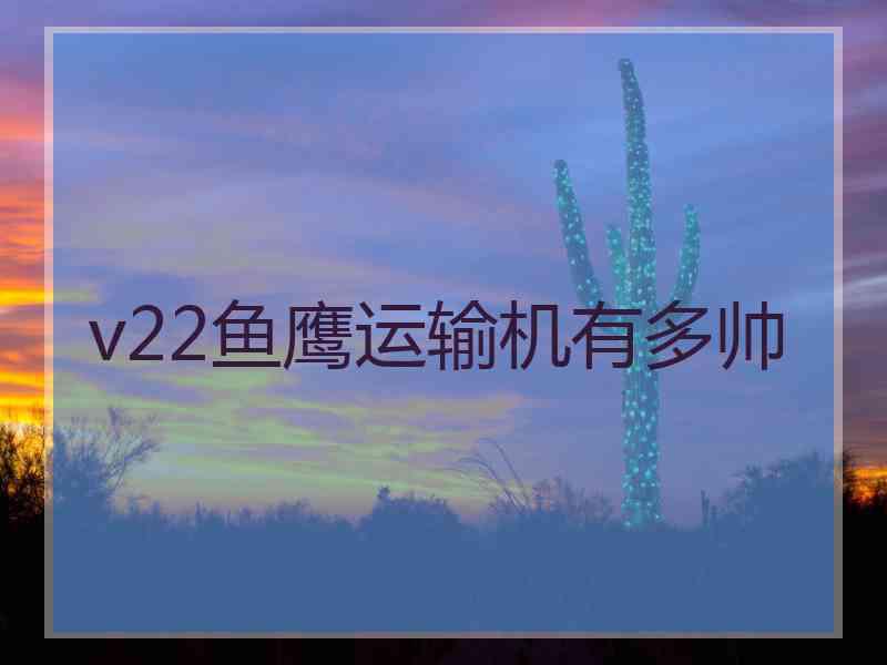 v22鱼鹰运输机有多帅