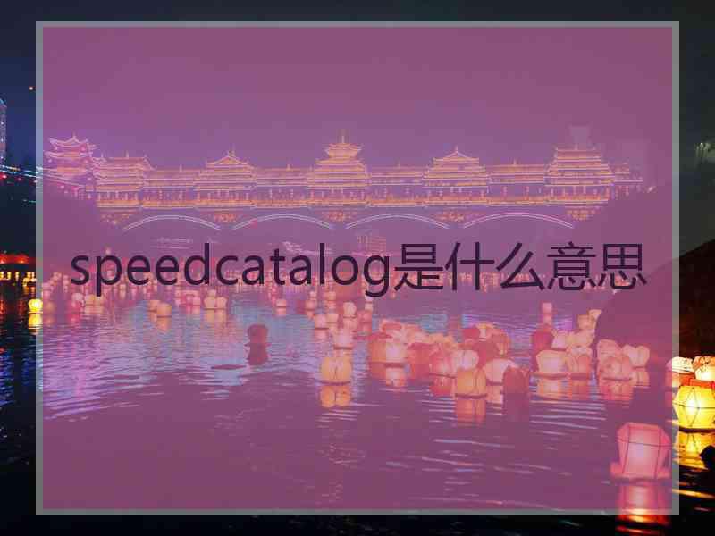 speedcatalog是什么意思