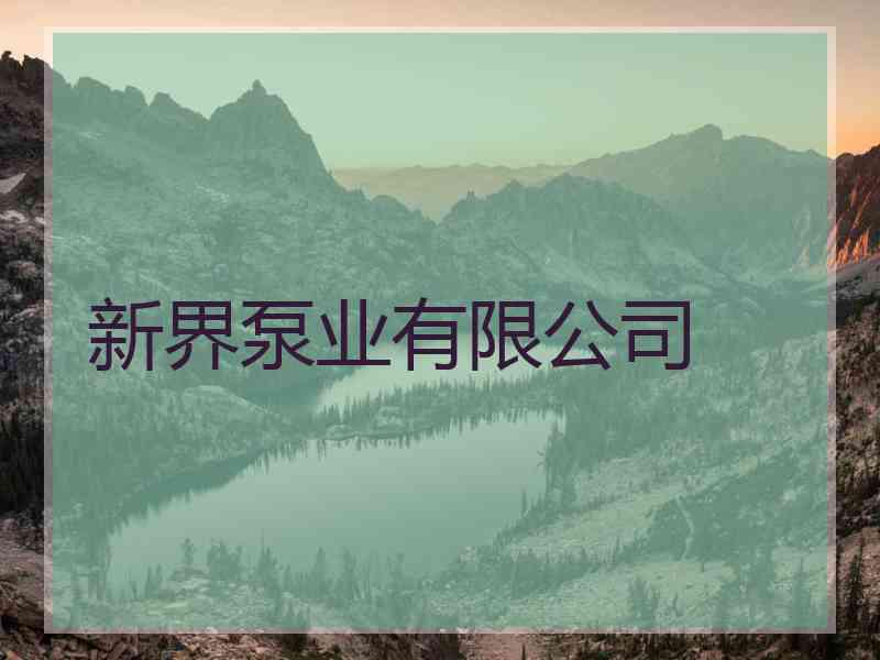 新界泵业有限公司