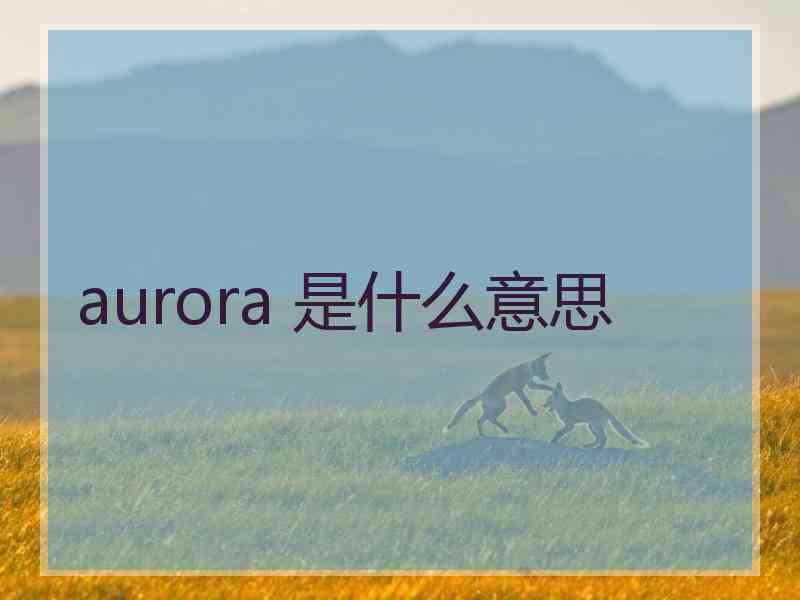 aurora 是什么意思