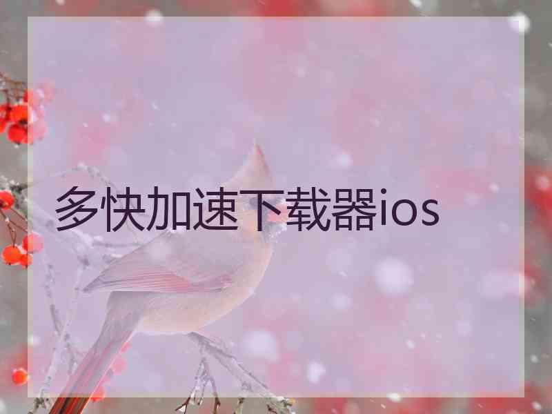 多快加速下载器ios