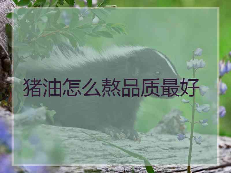 猪油怎么熬品质最好