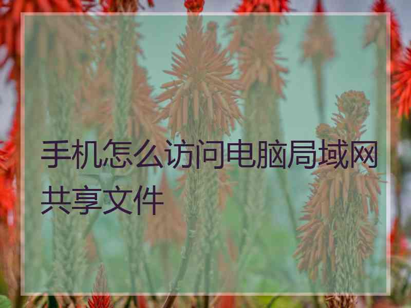 手机怎么访问电脑局域网共享文件