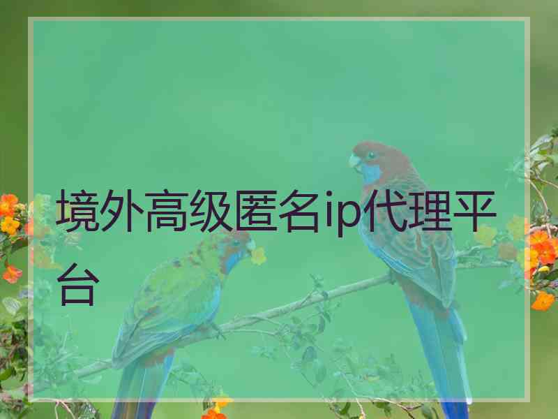 境外高级匿名ip代理平台