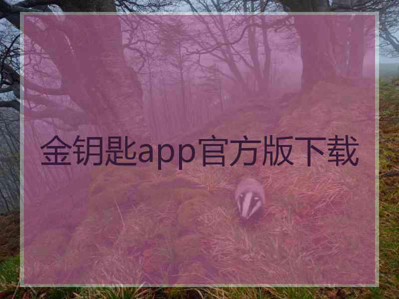 金钥匙app官方版下载