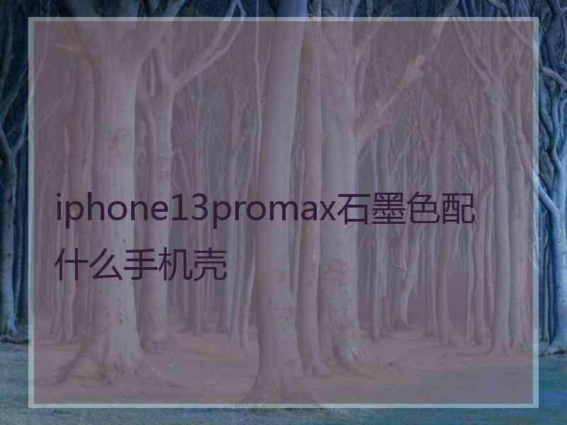 iphone13promax石墨色配什么手机壳