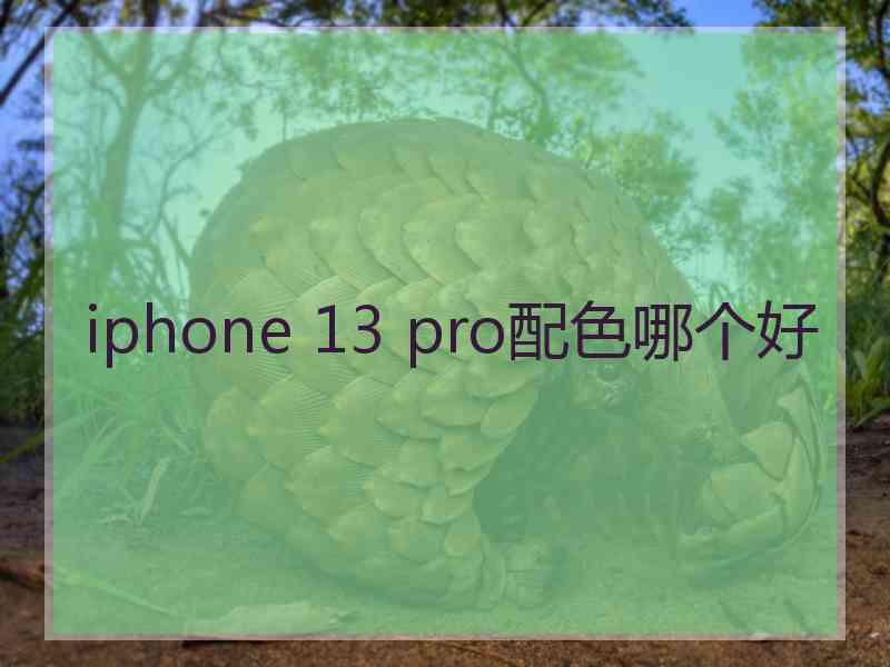 iphone 13 pro配色哪个好