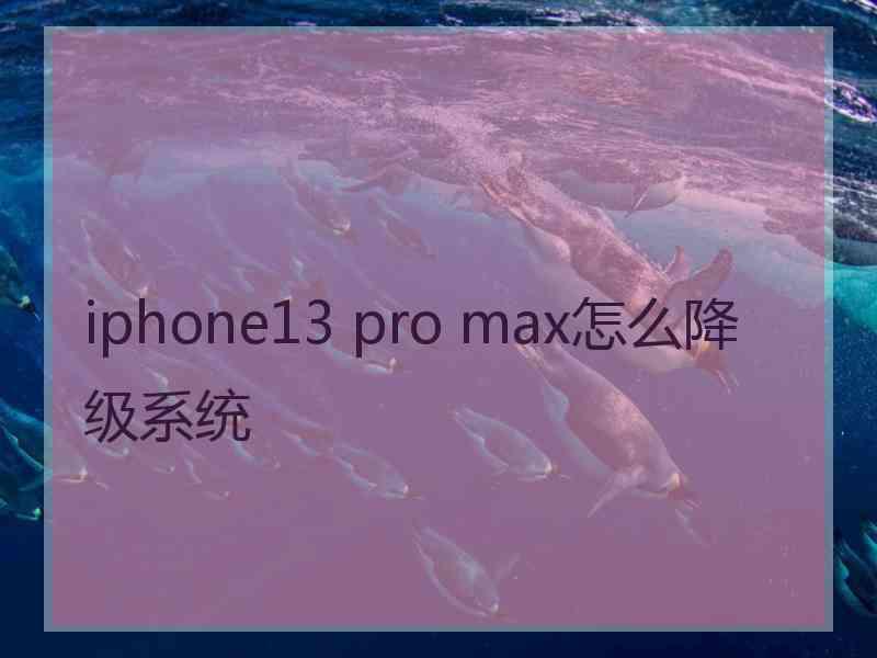 iphone13 pro max怎么降级系统