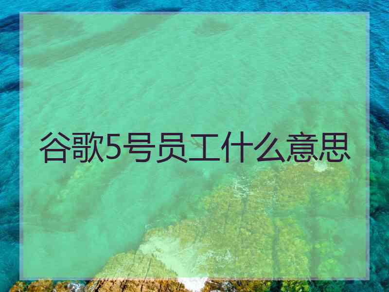 谷歌5号员工什么意思