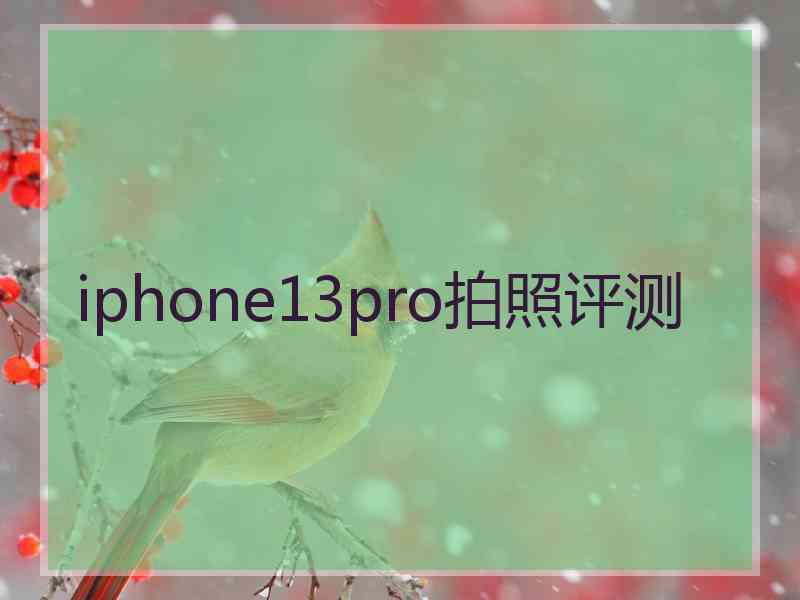 iphone13pro拍照评测