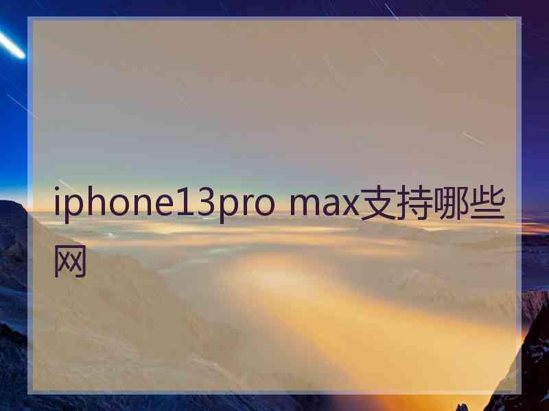 iphone13pro max支持哪些网