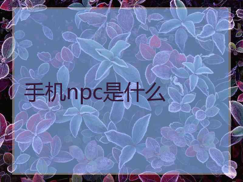 手机npc是什么