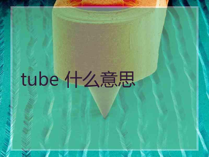 tube 什么意思