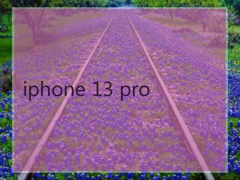 iphone 13 pro