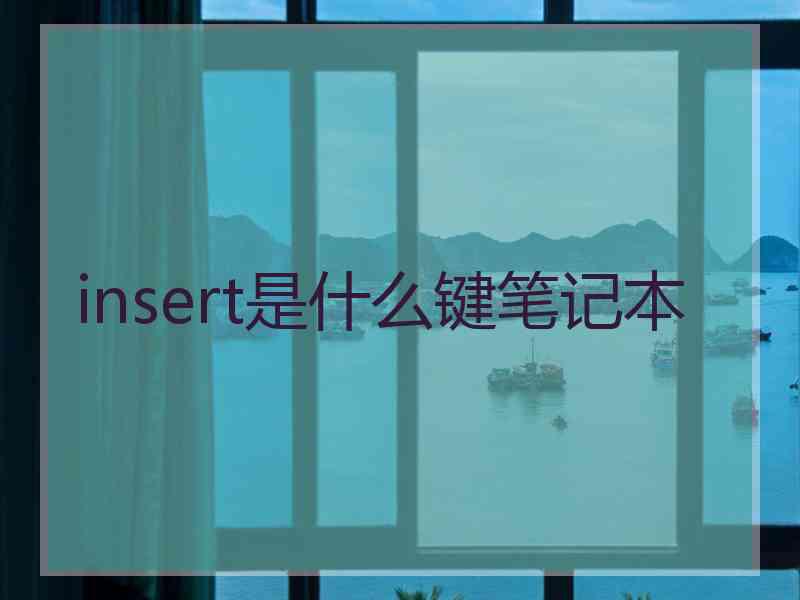 insert是什么键笔记本