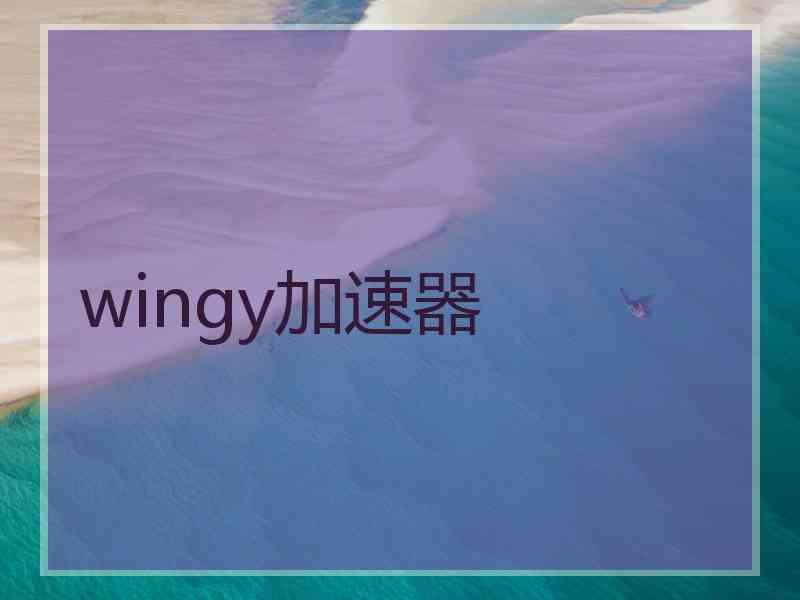 wingy加速器