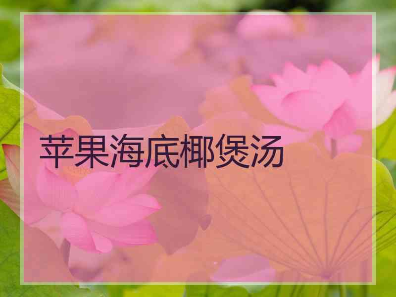 苹果海底椰煲汤