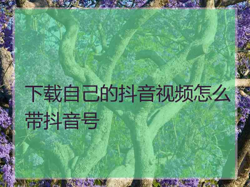 下载自己的抖音视频怎么带抖音号