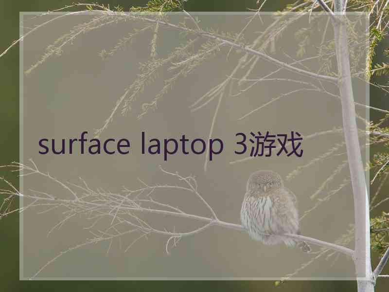 surface laptop 3游戏