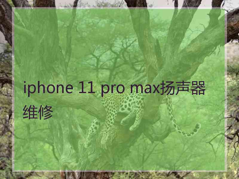 iphone 11 pro max扬声器维修