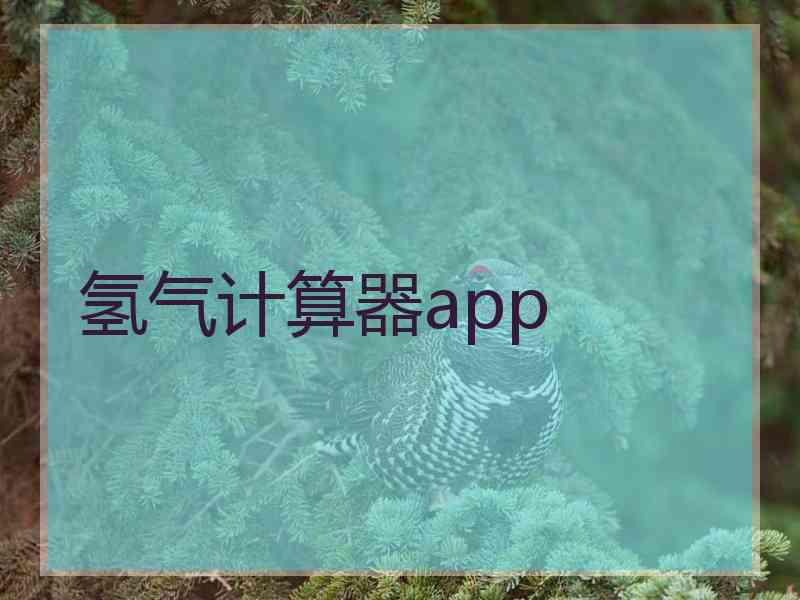 氢气计算器app