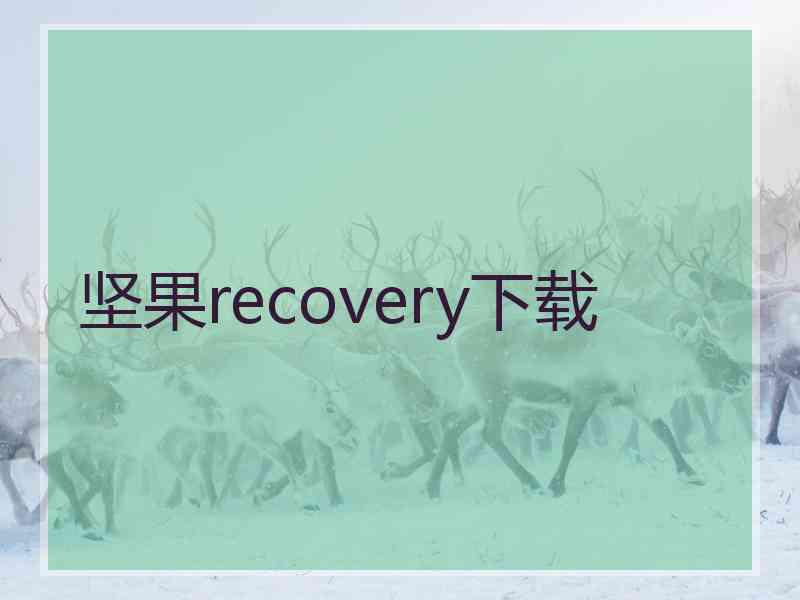 坚果recovery下载