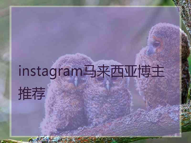 instagram马来西亚博主推荐