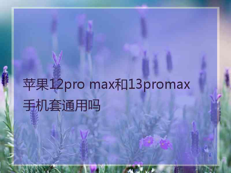 苹果12pro max和13promax手机套通用吗