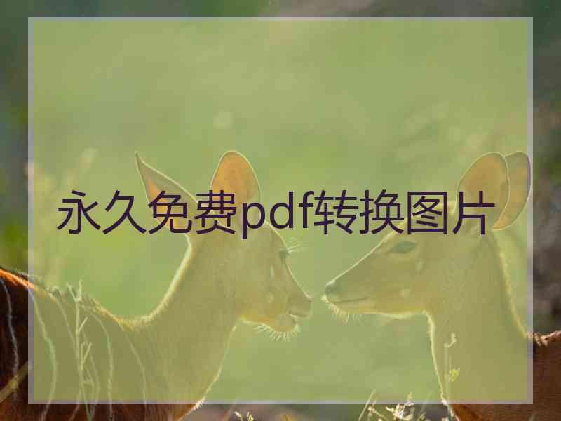 永久免费pdf转换图片