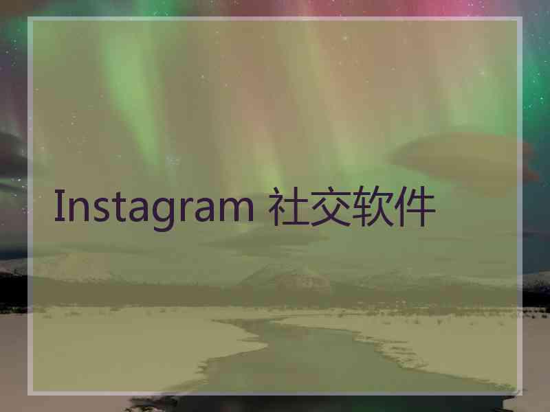 Instagram 社交软件